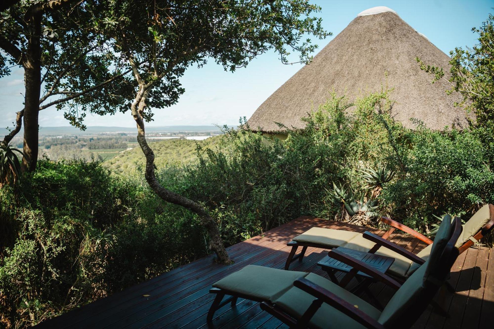 Hitgeheim Country Lodge Addo Kamer foto